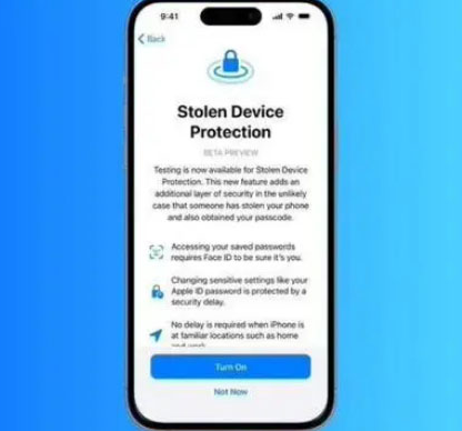 栾川苹果授权维修店分享被盗设备保护功能开启方法 
