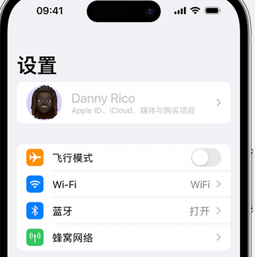 栾川appleID维修服务iPhone设置中Apple ID显示为灰色无法使用