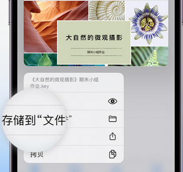 栾川apple维修中心分享iPhone文件应用中存储和找到下载文件