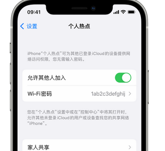 栾川apple服务站点分享iPhone上个人热点丢失了怎么办 