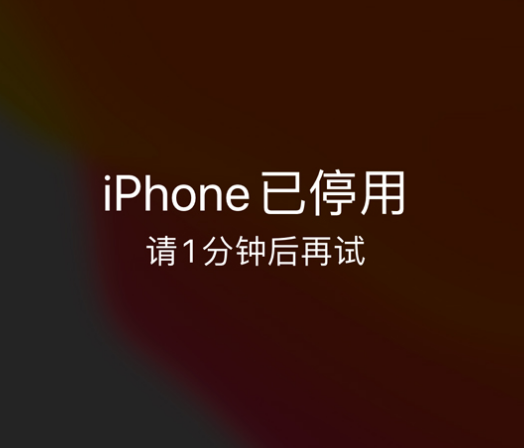 栾川苹果手机维修分享:iPhone 显示“不可用”或“已停用”怎么办？还能保留数据吗？ 