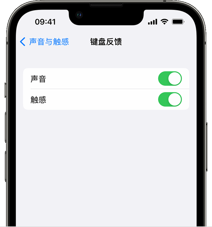 栾川苹果14维修店分享如何在 iPhone 14 机型中使用触感键盘 