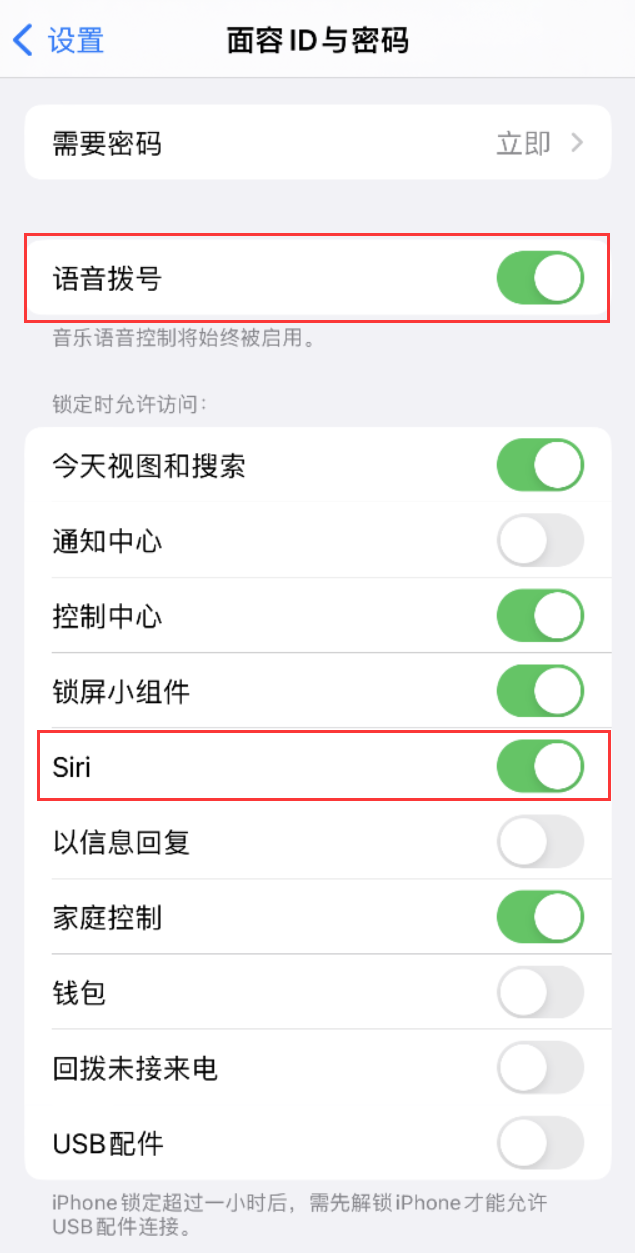 栾川苹果维修网点分享不解锁 iPhone 的情况下通过 Siri 拨打电话的方法 