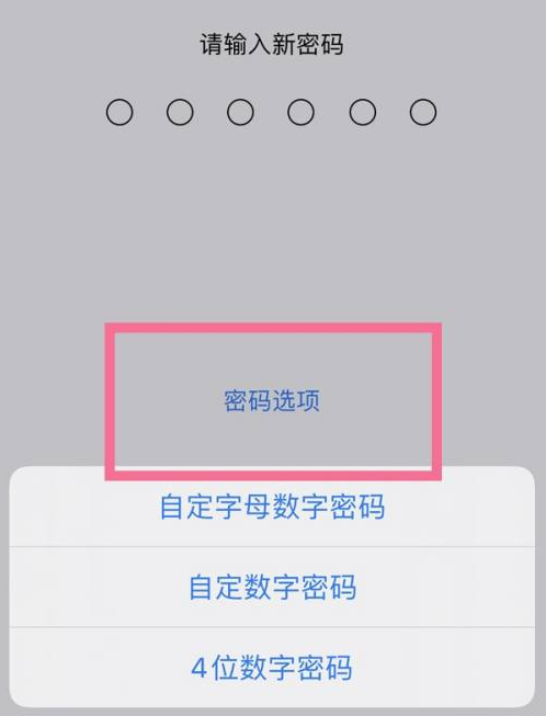栾川苹果14维修分享iPhone 14plus设置密码的方法 