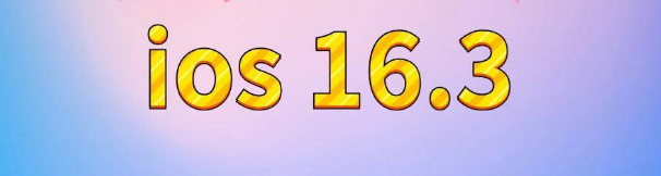 栾川苹果服务网点分享苹果iOS16.3升级反馈汇总 