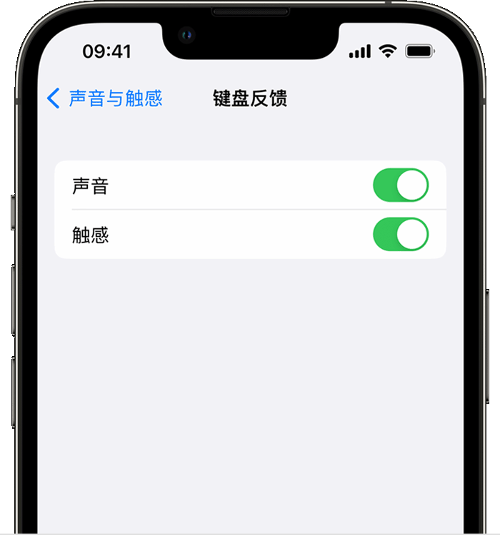 栾川苹果14维修分享iPhone 14 系列机型如何开启键盘声音或触感反馈 