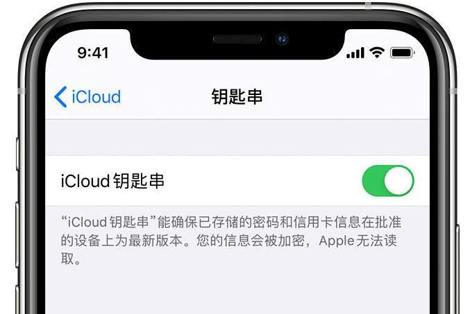 栾川苹果手机维修分享在 iPhone 上开启 iCloud 钥匙串之后会储存哪些信息 