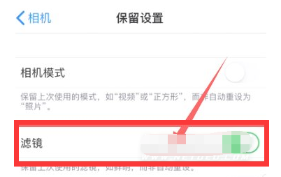 栾川苹果13维修分享iPhone13拍照有绿点是怎么回事 