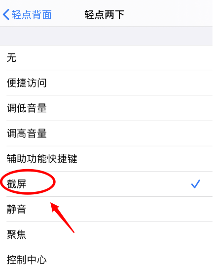栾川苹果手机维修分享iPhone12如何启用双击截屏 