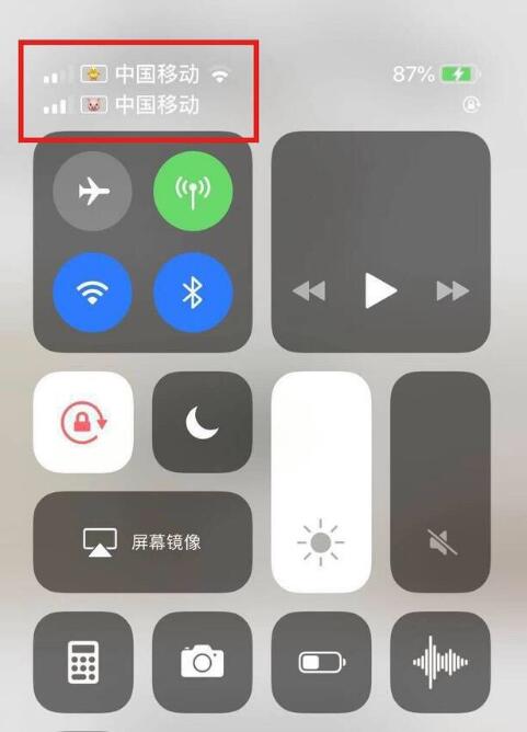 栾川苹果手机维修分享为 iPhone 12 双卡设置标签 