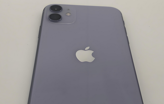 栾川苹果11系统维修分享iPhone11手机系统崩溃无法开机如何解决